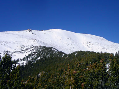 Upper Pine Ridge as seen from 10,650 feet on Pine Ridge