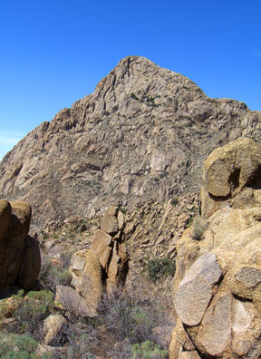 Elephant Head's south face seen during the approach walk on the trail
