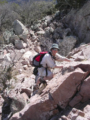 Jennifer Roach climbing the Class 3 wall above the Emory Peak Trail